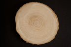 Round Wood Slice - Complex Design - 4" Aprox.